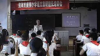 徐州小学爆料案件真相视频,还原事件始末