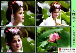 荷花三娘子在线观看,穿越时空的奇幻爱情之旅 第2张 荷花三娘子在线观看,穿越时空的奇幻爱情之旅 第2张